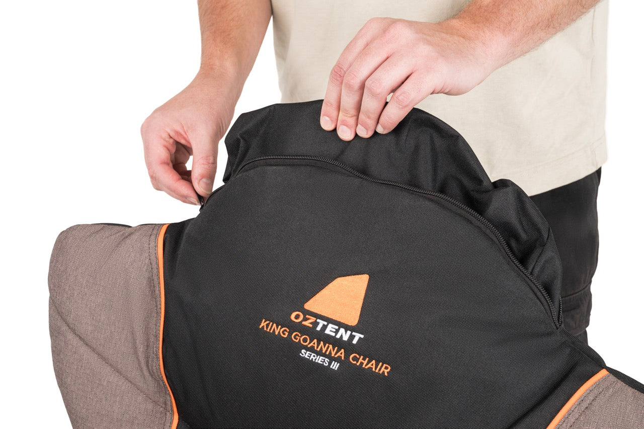 HEADREST WITH CARRY BAG STORAGE
