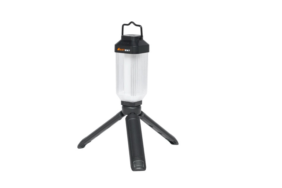 STAND OR HANG ANYWHERE